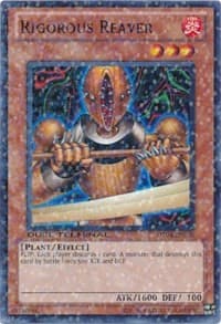 Rigorous Reaver: Duel Terminal 4
