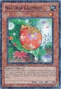 Naturia Ladybug: Duel Terminal 4