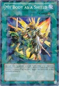 My Body as a Shield: Duel Terminal 5
