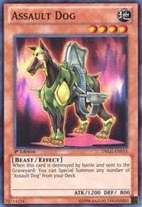 Assault Dog: Dragons of Legend
