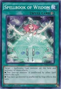 Spellbook of Wisdom: Battle Pack 3: Monster League