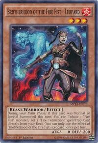 Brotherhood of the Fire Fist - Leopard: 2014 Mega-Tins Mega Pack