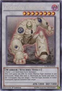 Colossal Fighter: Legendary Collection 5D's