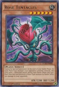 Rose Tentacles: Legendary Collection 5D's