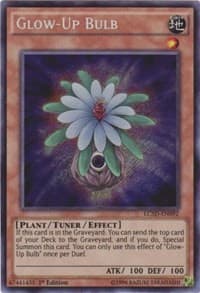 Glow-Up Bulb: Legendary Collection 5D's