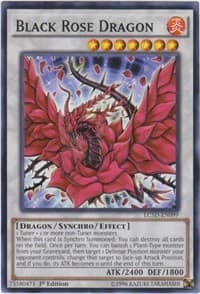 Black Rose Dragon: Legendary Collection 5D's