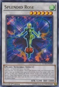 Splendid Rose: Legendary Collection 5D's