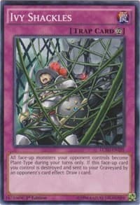 Ivy Shackles: Legendary Collection 5D's
