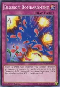 Blossom Bombardment: Legendary Collection 5D's
