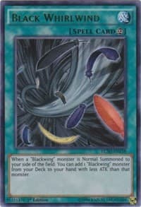 Black Whirlwind: Legendary Collection 5D's