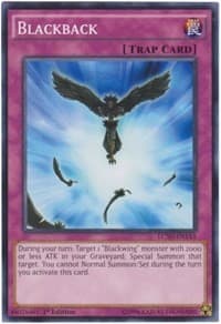 Blackback: Legendary Collection 5D's