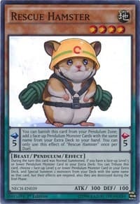 Rescue Hamster: The New Challengers