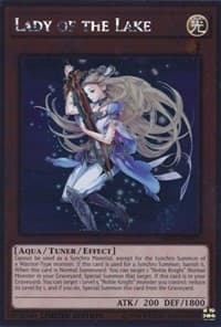 Lady of the Lake: Noble Knights of the Round Table Box Set