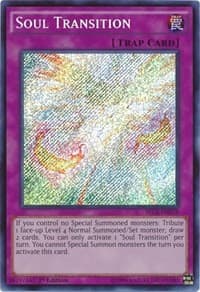Soul Transition: Secrets of Eternity