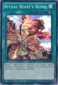Ritual Beast's Bond: The Secret Forces