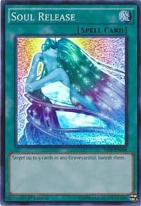 Soul Release: The Secret Forces