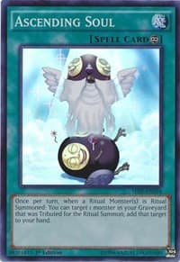 Ascending Soul: The Secret Forces