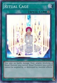 Ritual Cage: The Secret Forces