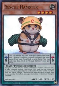 Rescue Hamster (SE): The New Challengers