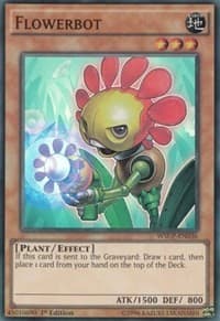 Flowerbot: World Superstars