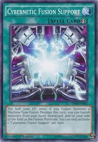 Cybernetic Fusion Support: Crossed Souls