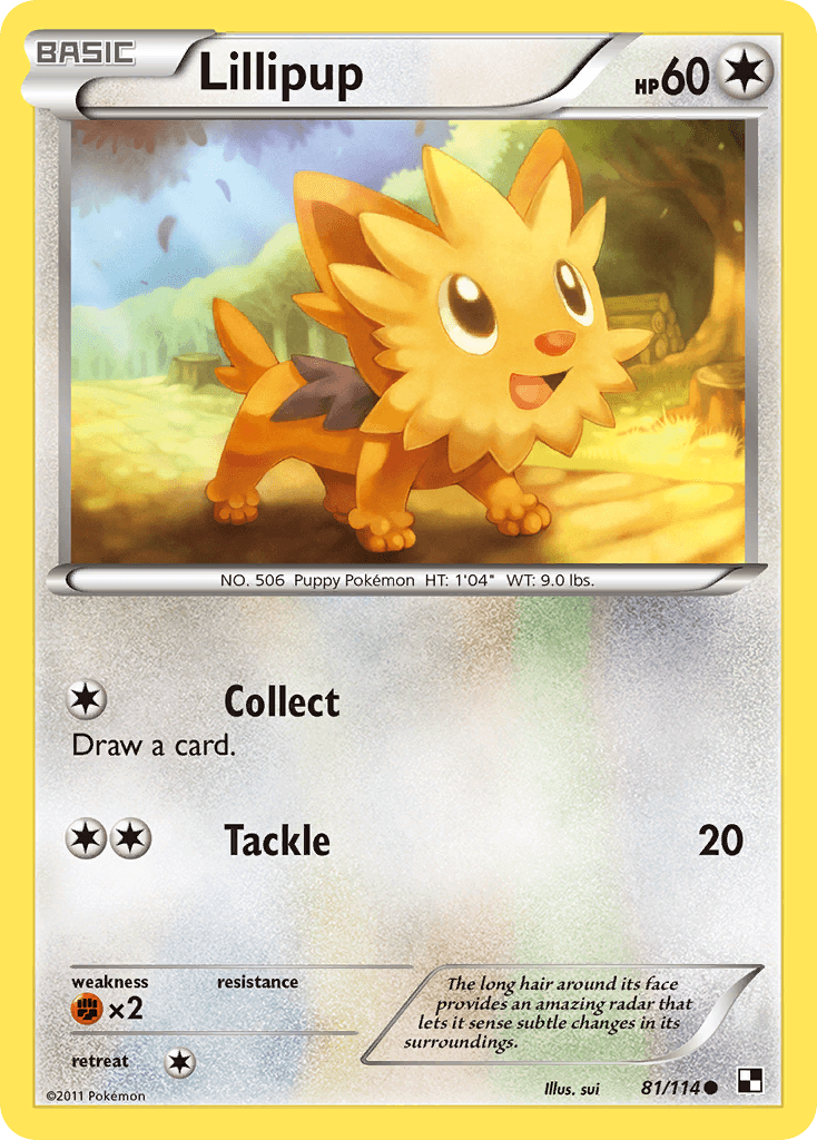 Lillipup: Black & White