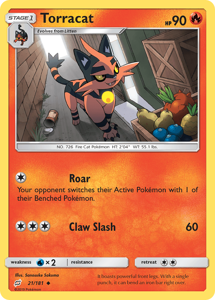 Torracat: Team Up