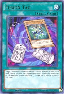 Fusion Tag: Shining Victories
