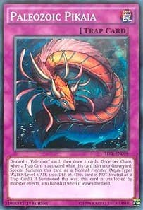 Paleozoic Pikaia: The Dark Illusion