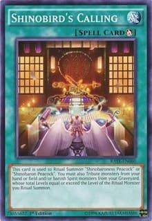 Shinobird's Calling: Raging Tempest