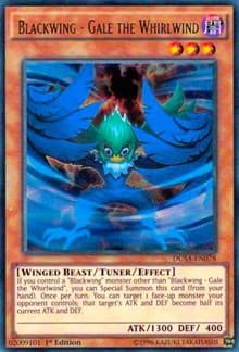 Blackwing - Gale the Whirlwind: Duelist Saga