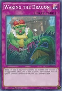Waking the Dragon: 2019 Gold Sarcophagus Tin Mega Pack