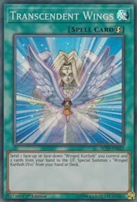 Transcendent Wings: Advent Calendar 2019
