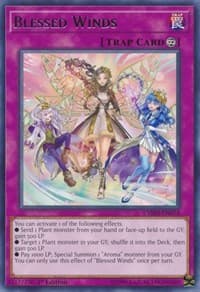 Blessed Winds: Chaos Impact