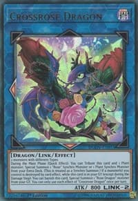 Crossrose Dragon: Duel Overload