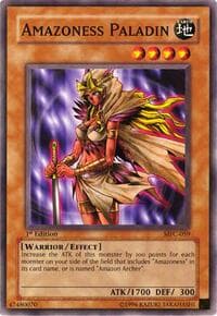 Amazoness Paladin: Magician's Force