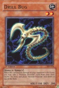Drill Bug: Pharaoh's Servant