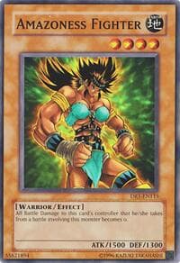 Amazoness Fighter: Dark Revelation Volume 1