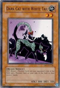 Dark Cat with White Tail: Dark Revelation Volume 1