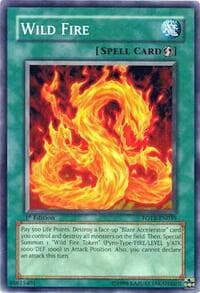 Wild Fire: Force of the Breaker