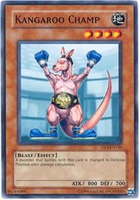 Kangaroo Champ: Dark Revelation Volume 3