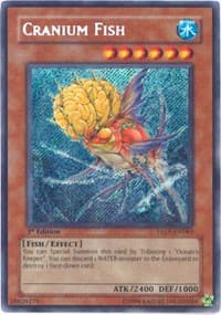Cranium Fish: Tactical Evolution