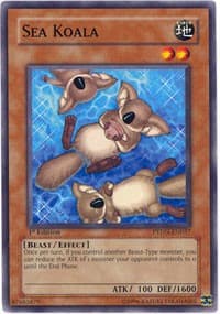 Sea Koala: Phantom Darkness