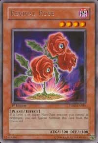 Revival Rose: The Shining Darkness