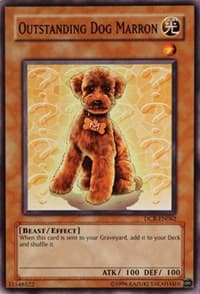Outstanding Dog Marron: Dark Crisis (Worldwide English)