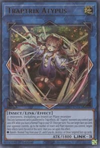 Traptrix Atypus: Structure Deck: Beware of Traptrix