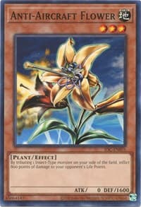 Anti-Aircraft Flower: Invasion of Chaos (25th Anniversary Edition)