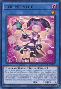 Cyberse Sage: Cyberstorm Access