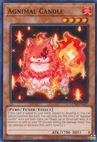 Agnimal Candle: Duelist Nexus