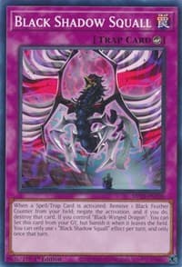 Black Shadow Squall: 25th Anniversary Tin: Dueling Heroes Mega Pack
